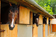 free Stokegorse stable construction quotes